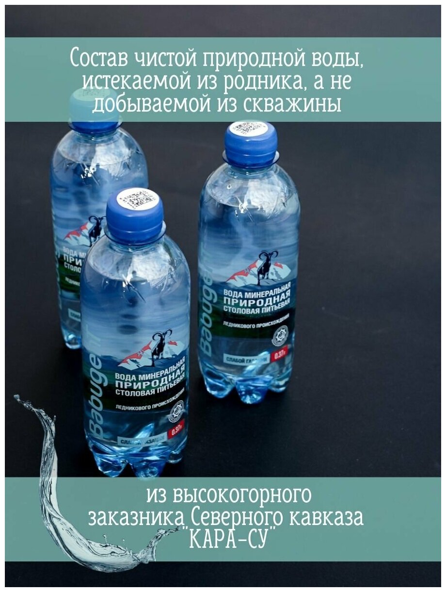 Вода природная минеральная питьевая BabugenT , газированная. Пластик, 12 шт. по 0,37 л - фотография № 8