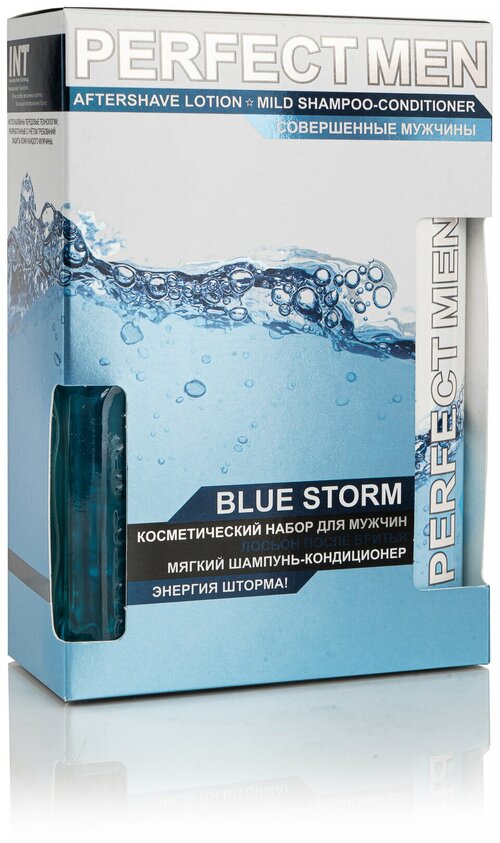 Парфюмерия XXI века Мужской Perfect Men Blue Storm Набор: лосьон после бритья 100мл, шампунь 250мл