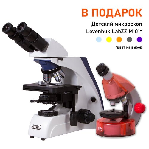 Микроскоп Levenhuk MED 30B, бинокулярный + Детский микроскоп Levenhuk LabZZ M101