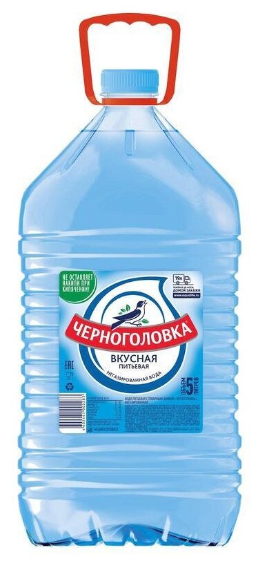 Вода питьевая Черноголовская 2 шт по 5л - фотография № 2