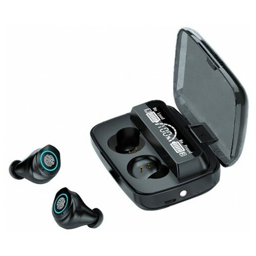 BandRate Smart BRSTWSM17BB 425000₽