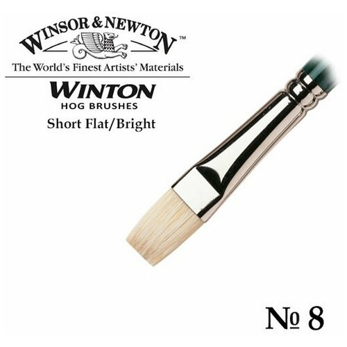 фото Кисть winsor&newton кисть щетина плоская укороченная №8 winsor&newton winton short flat winsor & newton