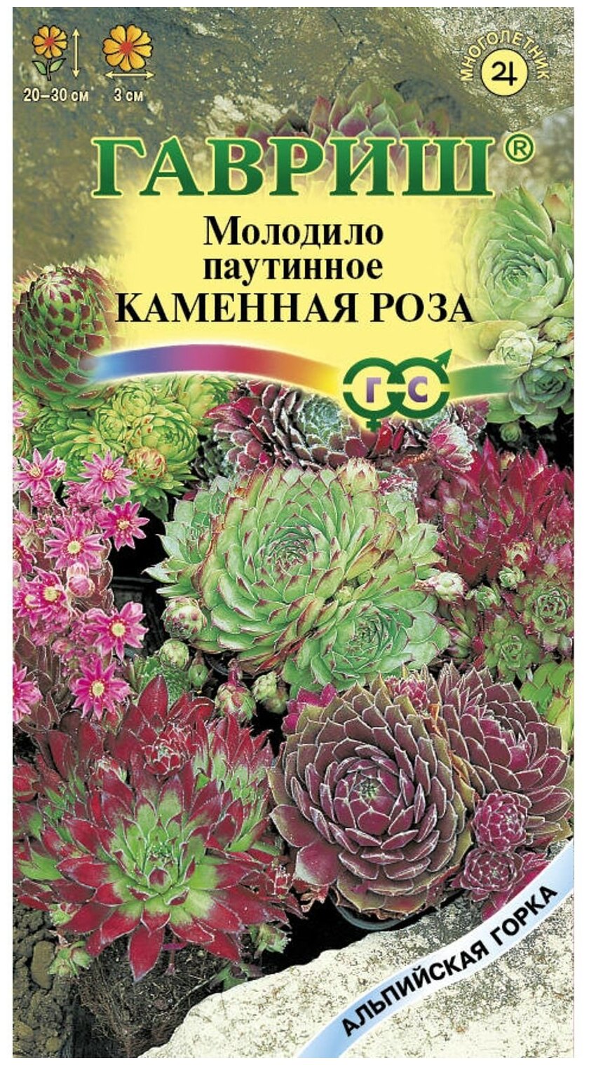 Семена  Альпийская горка Молодило Каменная Роза 0,01 г —  в .