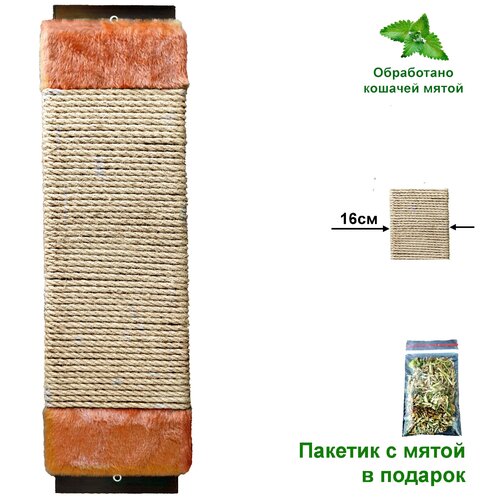 Когтеточка 