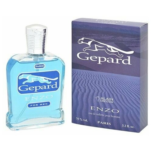 ALAIN AREGON (Positive parfum) Туалетная вода мужская GEPARD ENZO positive parfum men alain aregon gepard enzo туалетная вода 95 мл