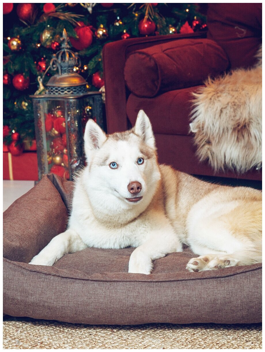 Лежанка для собак Beast. для крупных и средних пород, со съёмным чехлом, цвет: коричневый, 90x70 см - фотография № 3