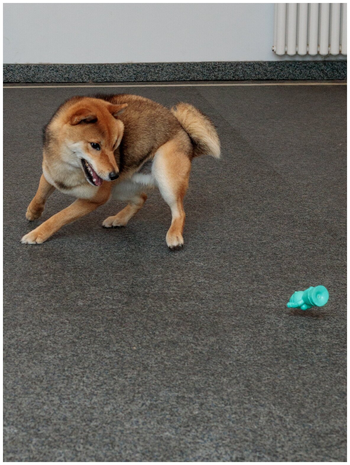 Игрушка для собак Japan Premium Pet из натурального латекса для собак-путешественников в виде Статуи свободы - фотография № 9