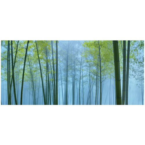 Фотообои флизелин эко Бамбуковый лес 600х270 12150₽