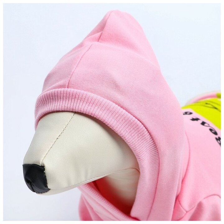 Толстовка для собак(футер петля двунитка) L Розовый Пушистое счастье 9345560 . - фотография № 5