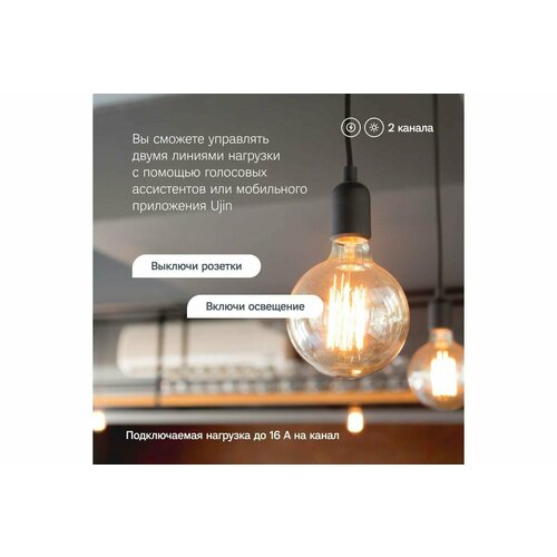 Ujin Умное реле-коммутатор на дин-рейку Connect-din 2 канала голосовое управление UCD-W-2С1616A-2D 783000₽