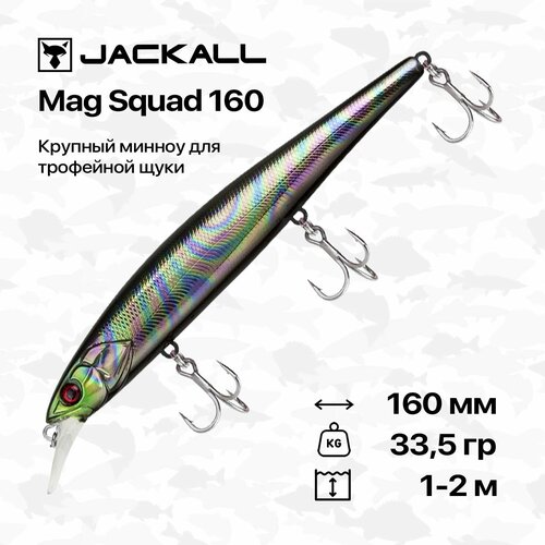 Воблер Jackall Mag Squad 160 SP, 160 мм, 33,5 гр, 1-2 м, #UL Tamamushi