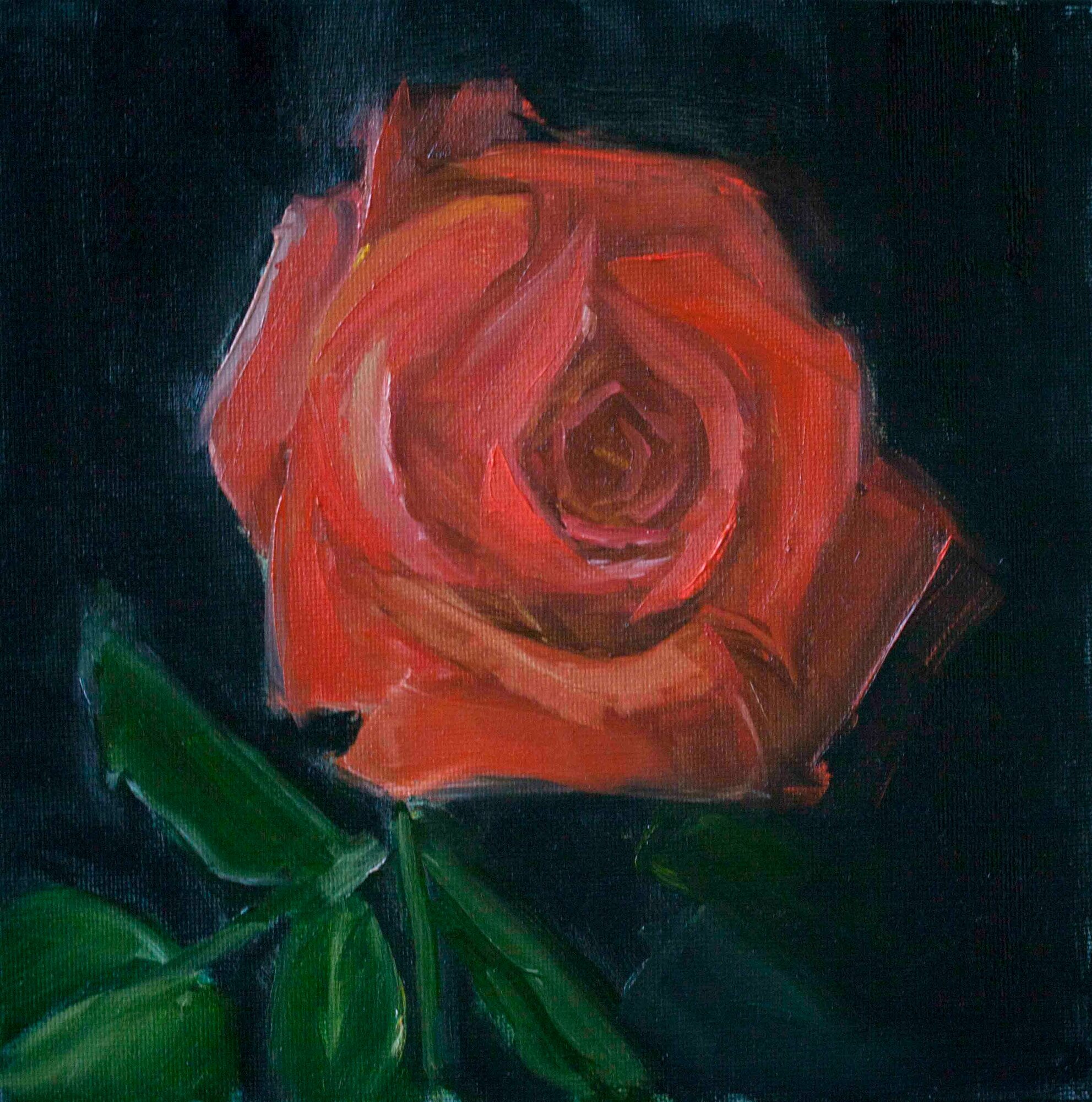 Картина маслом "Роза" 20х20