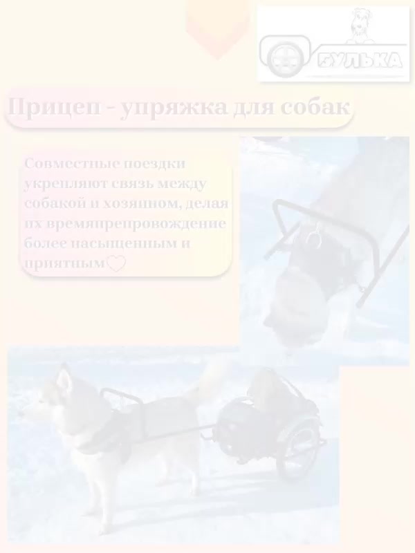 Прицеп - упряжка для собак Булька — фото 1