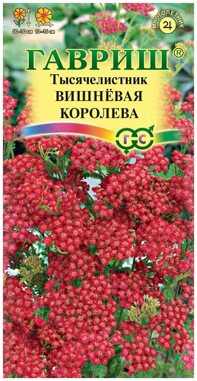 Тысячелистник Вишневая королева Мн. Цв.П (гавриш) 0.1г. Количество уп 10 шт.