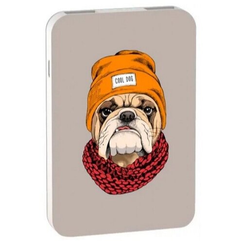 Внешний аккумулятор RITMIX RPB-10007 Bulldog 99000₽