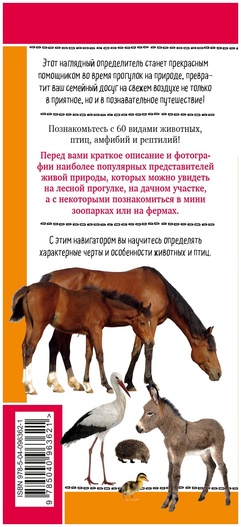 Животные на ферме. Наглядный карманный определитель (для ПР) - фото №2