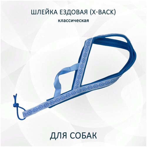 Шлейка ездовая X-Back, классическая Голубые узоры M