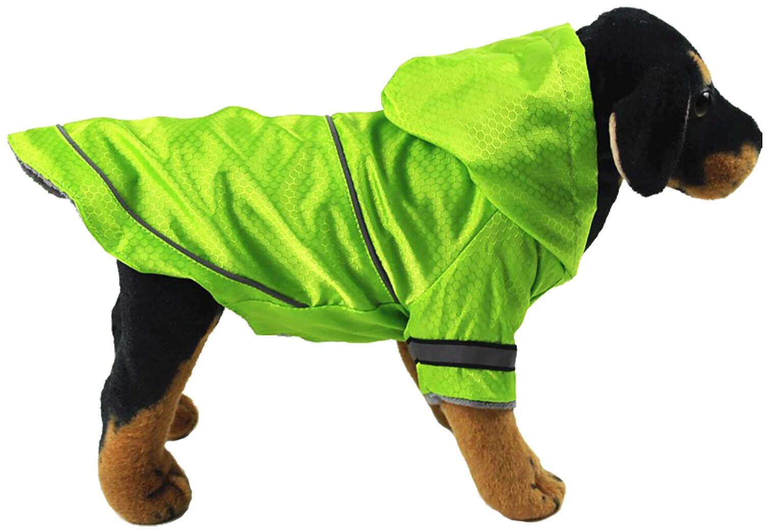 Плащ-дождевик с капюшоном для собак STEFAN, S, салатовый, PR4510S - фотография № 2