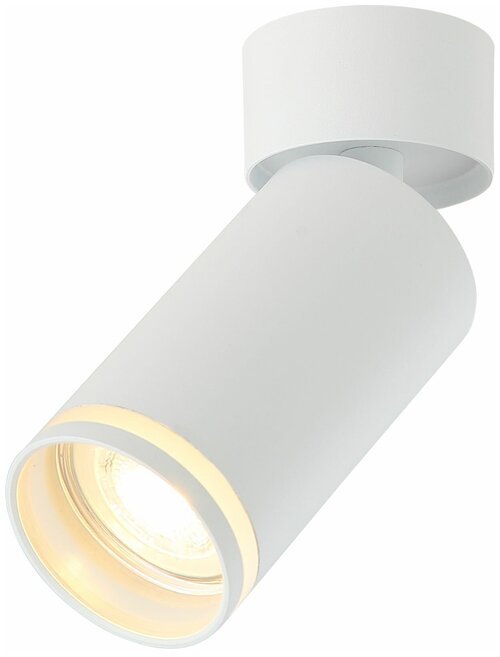 Спот настенно-потолочный светильник светодиодный IL.0005.2001 WH Белый