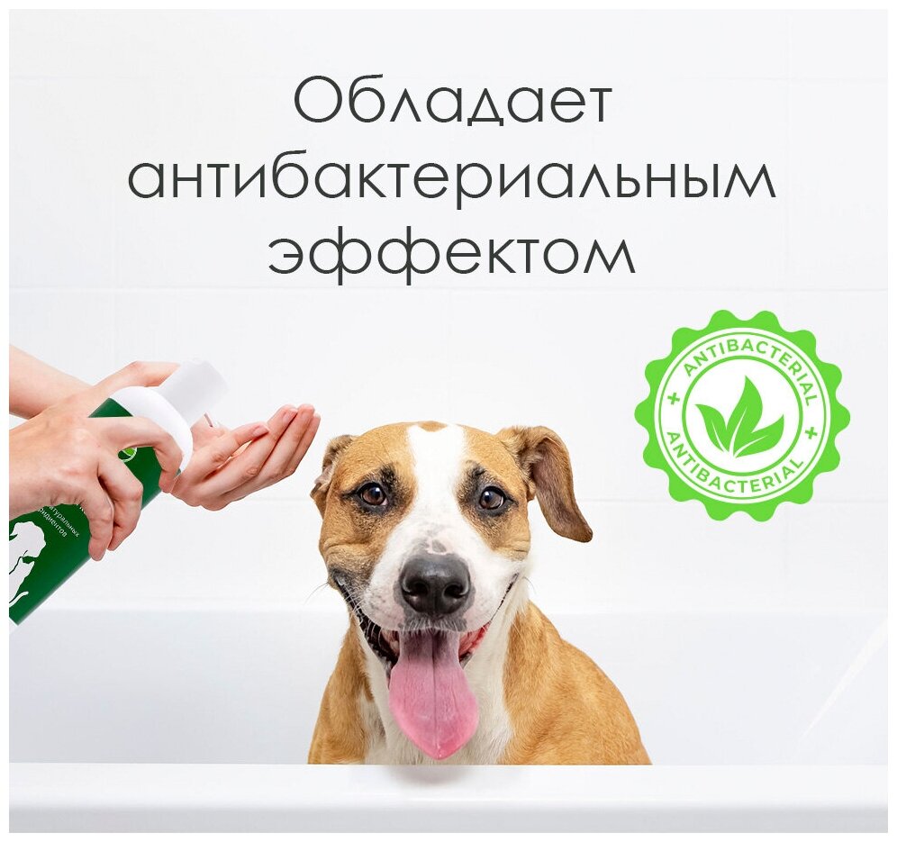 Шампунь для собак и кошек с хлоргексидином (4%), 400 мл - фотография № 3