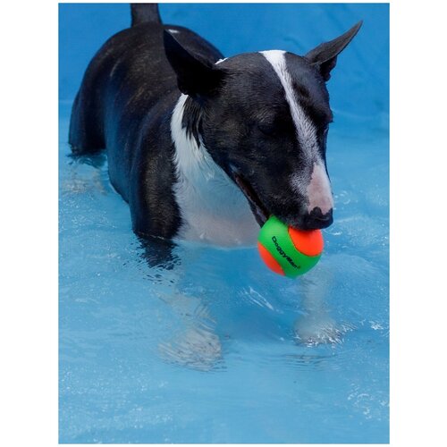 Игрушка для собак Japan Premium Pet непрокусываемый мячик . Для миниатюрных и малых пород. Набор 2 шт.