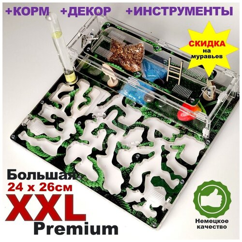 Большая муравьиная ферма XXL Premium 24*26см Полный комплект Мята