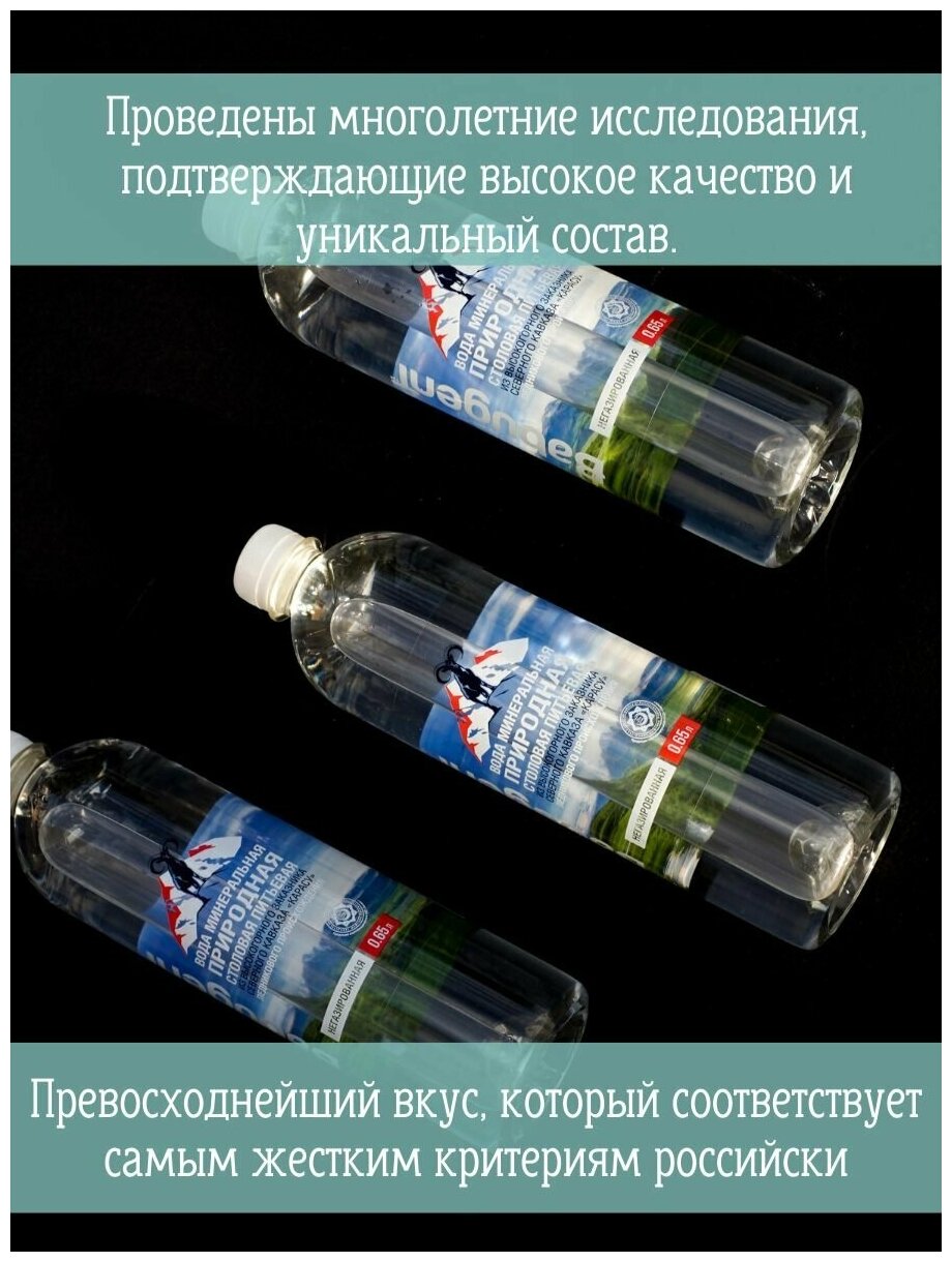 Вода природная минеральная питьевая BabugenT , негазированная. Пластик, 12 шт. по 0,65 л - фотография № 2