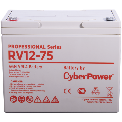 CyberPower Professional series RV 12-75