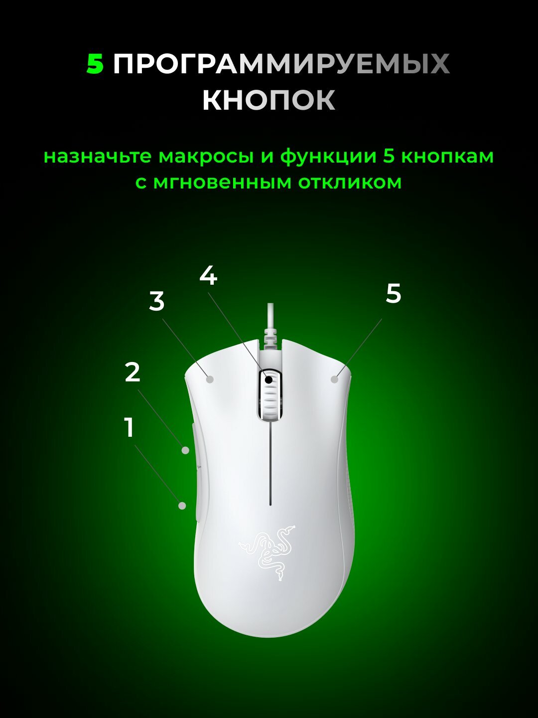 Мышь Razer DeathAdder Essential White, для игр, 5 клавиш, 6400 dpi, USB, RGB — фото 1