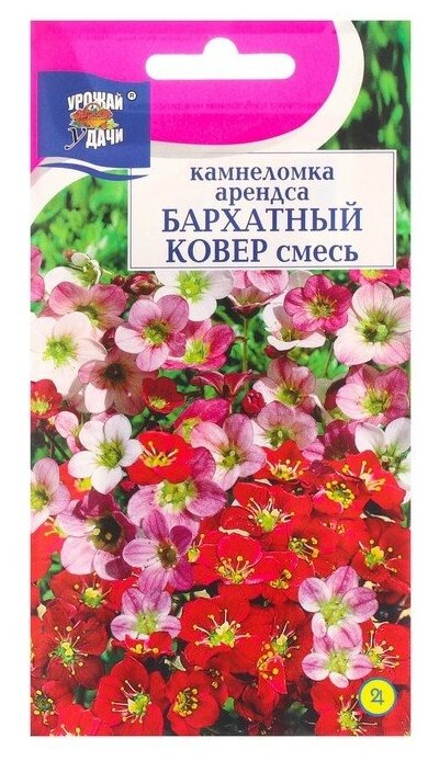 Семена цветов Камнеломка "Бархатный ковер", 0,01 г