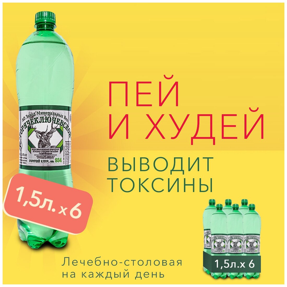 Вода Горячий Ключ скважина 934 питьевая минеральная газированная лечебная 1.5л*6, выводит токсины, для похудения, природная. От гастрита, проблем ЖКТ - фотография № 1