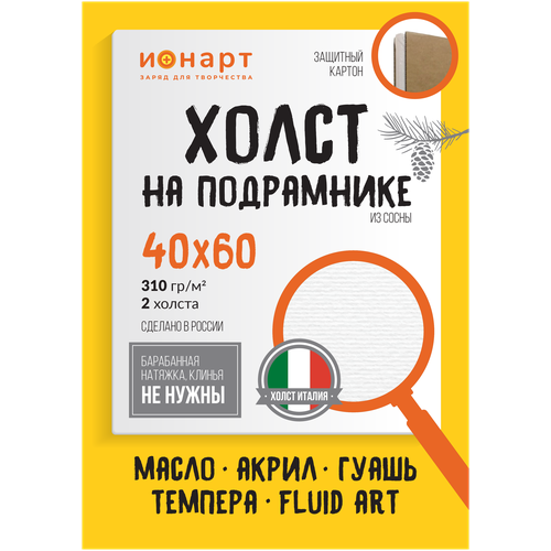 Холст на подрамнике ионарт 40х60 см 2 шт. грунтованный для рисования, хлопок 310 гр/кв.м