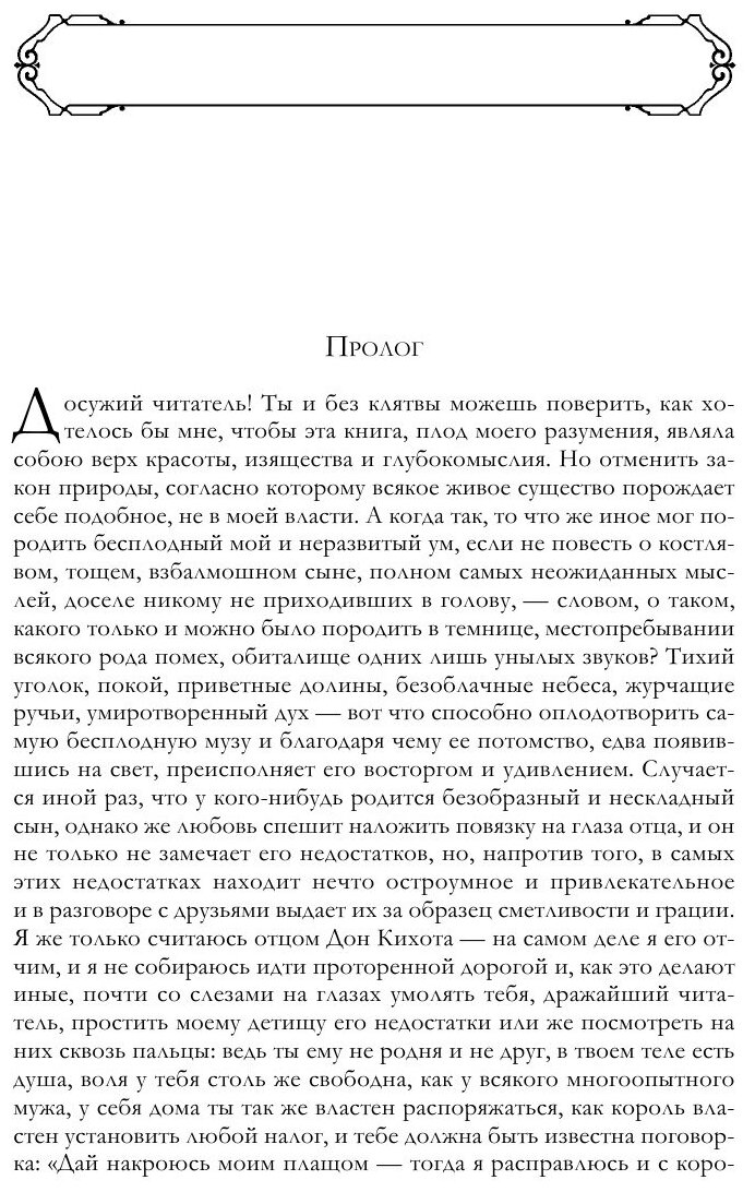 Дон Кихот. Шедевр мировой литературы в одном томе - фото №4