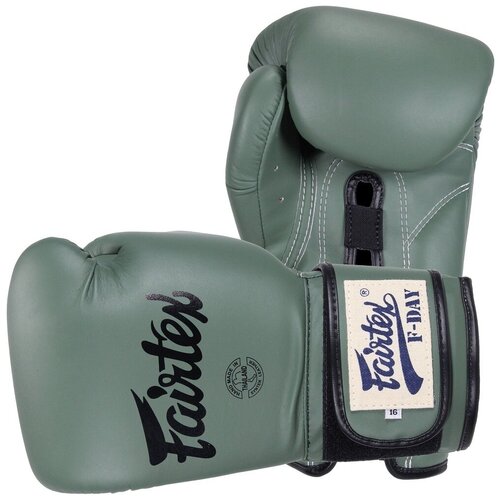 Боксерские перчатки Fairtex Boxing gloves F-Day BGV11 14 унций