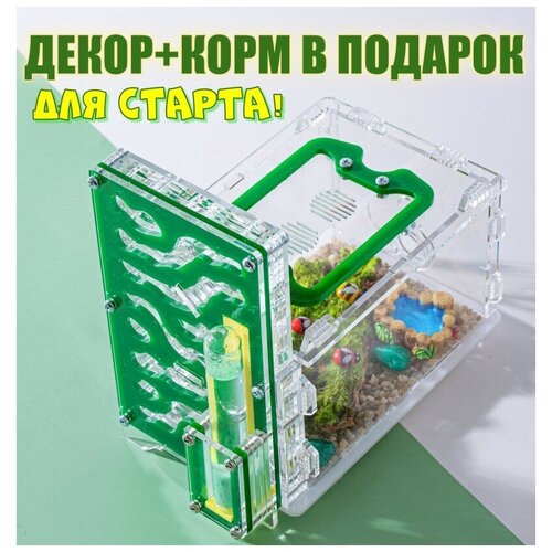 Муравьиная ферма 