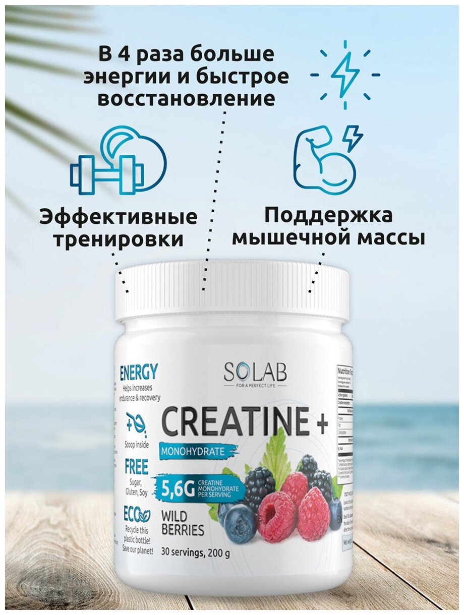 SOLAB Креатин моногидрат порошок 30 порций, Creatine Monohydrate, вкус лесные ягоды, 200 гр спортивное питание