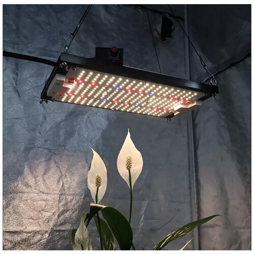 LED фитосветильник Quantum Board Kingbrite 120Вт Samsung LM301H 3500k+CREE XP-E2 660nm+IR+LG UV