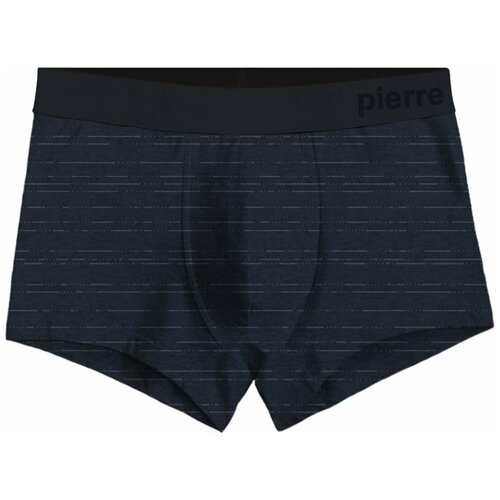 Трусы мужские Pierre Cardin boxer базовые PC00007_Navy синие (XL)