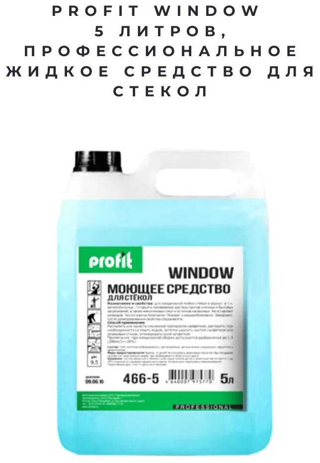 PROFIT WINDOW 5 литров, Профессиональное жидкое средство для стекол