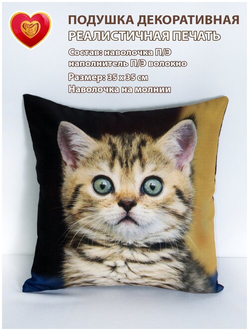 Подушка декоративная на диван 35х35 в подарок с фотопечатью кот удивленный