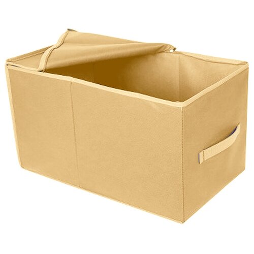 Коробка для хранения ЭГО 50x30x30, с крышкой / Органайзер бежевый