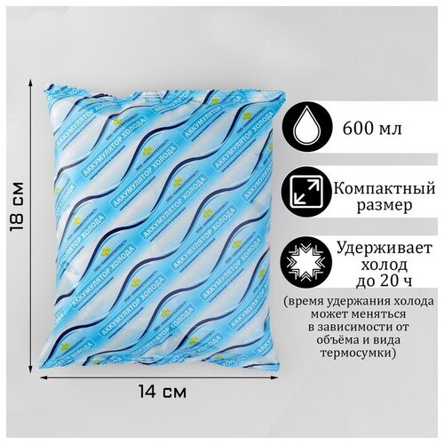 Аккумулятор холода Мастер К, 600 мл, 18 х 14 х 3 см