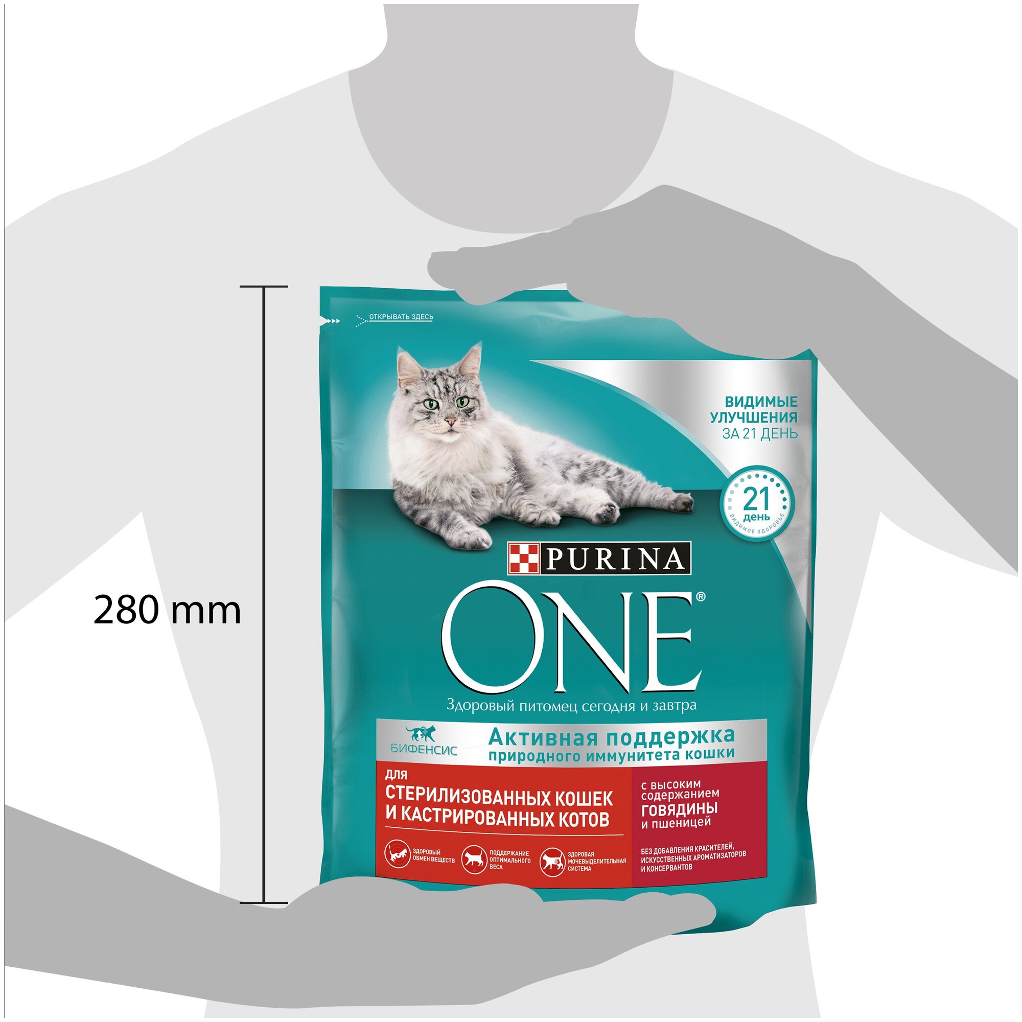 Сухой корм Purina ONE для стерилизованных кошек и котов с говядиной и пшеницей пакет 750г, для взрослых кошек - фотография № 4