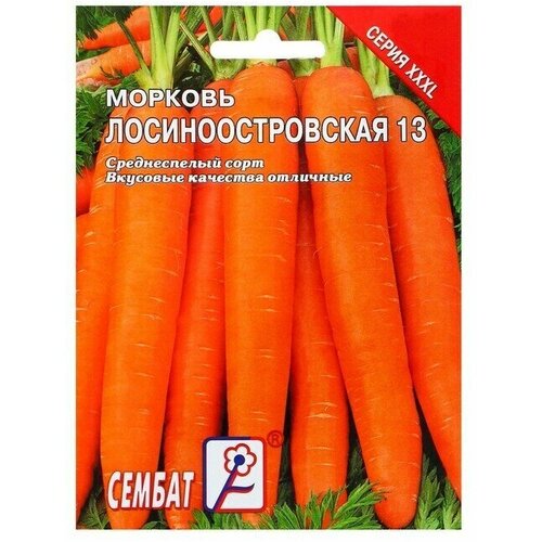 Семена ХХХL Морковь Лосиноостровская 13, 10 г 2 упаковки