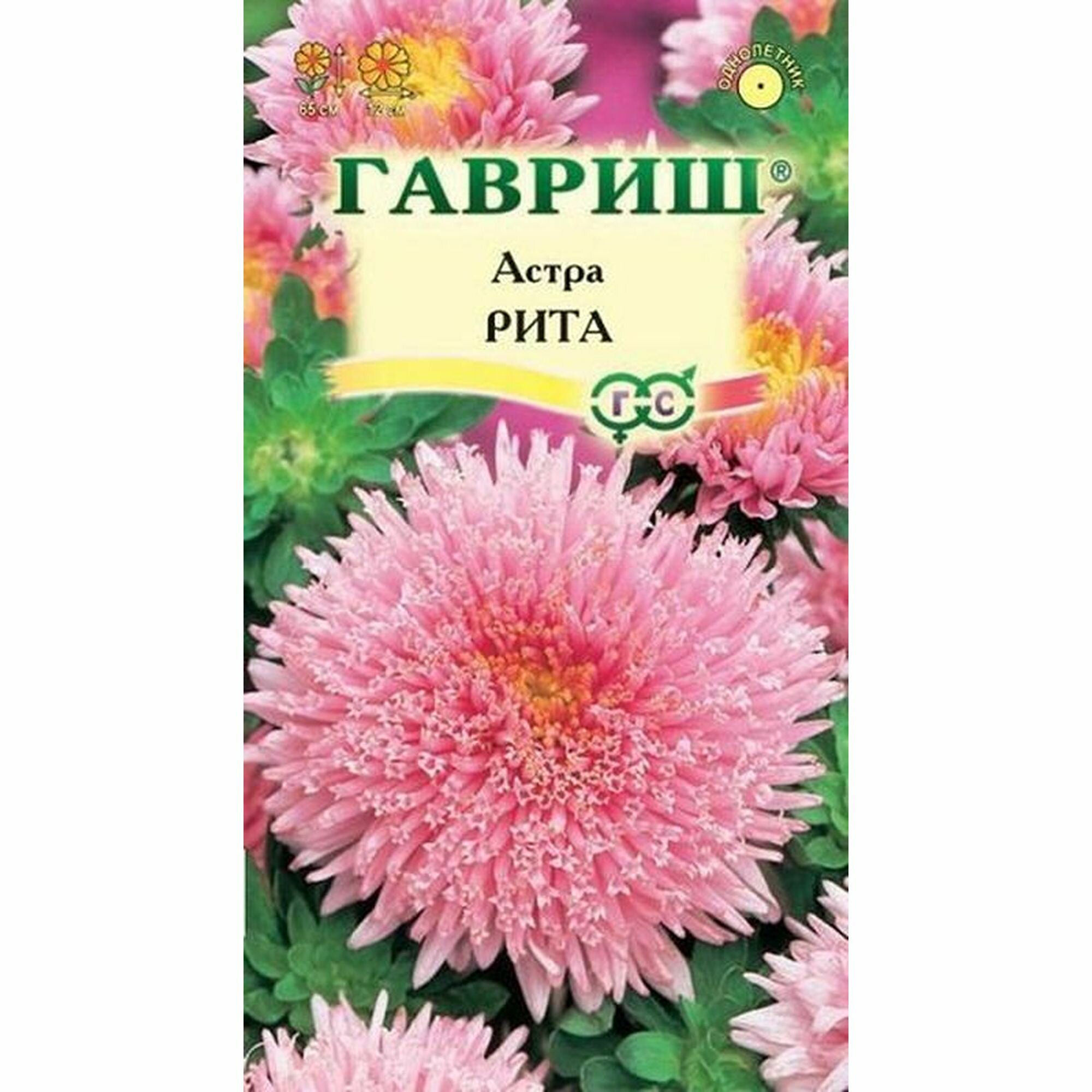 Семена Астра Рита принцесса розовая однолетник Гавриш 1 пачка - 0.3г семян
