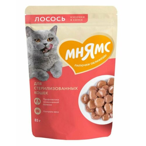 Влажный корм для кошек Мнямс для стерилизованных в виде кусочков в соусе с лососем 85 г