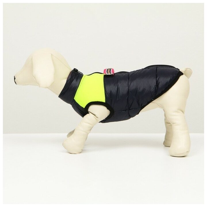 Куртка для собак на молнии, размер 12 (ДС 28 см, ОГ 38 см, ОШ 27 см), синяя с жёлтым - фотография № 4