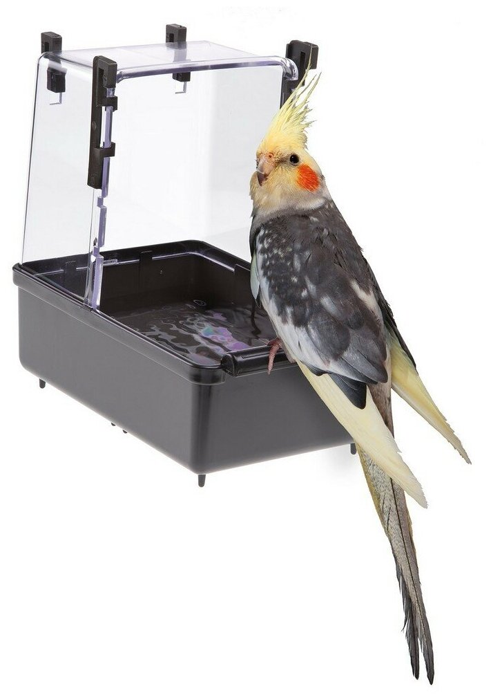 Купалка Ferplast L101 для птиц, Ванночка для средних попугаев - фотография № 3