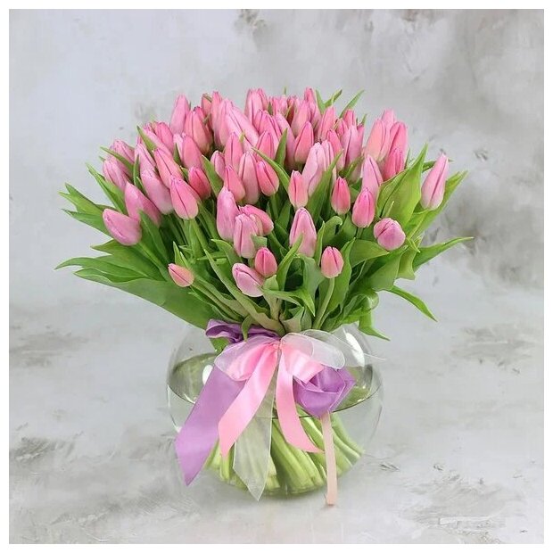 Букет живых цветов из 101 розового тюльпана