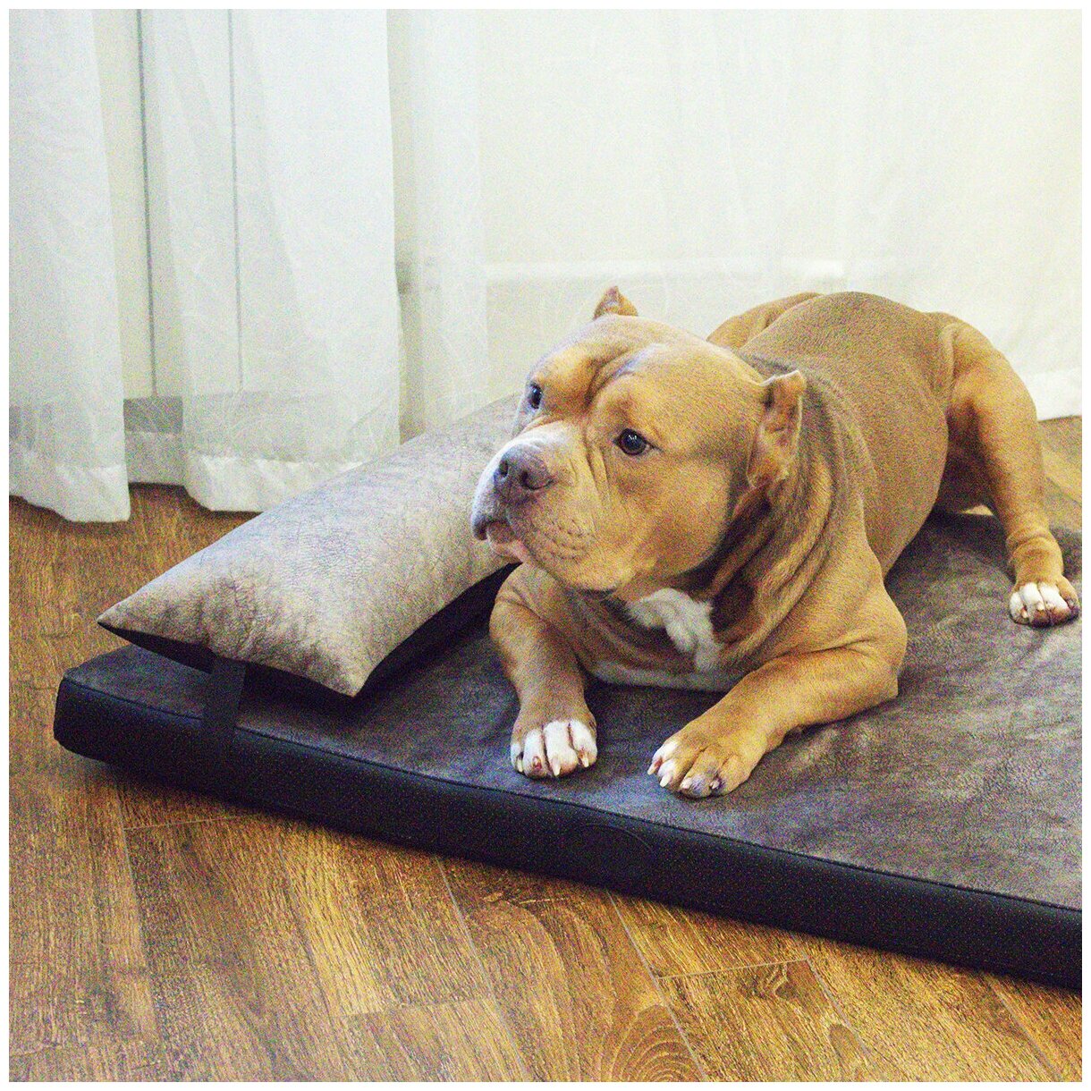 Лежак для собак 80Х60Х6 см ECHHOO с подушкой, серый, L - фотография № 4